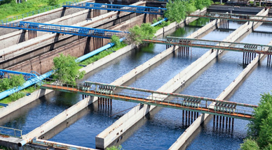 空氣懸浮風(fēng)機處理造紙廠制漿廢水的優(yōu)勢分析