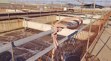 ?雷茨空氣懸浮風(fēng)機，讓食品廠污水處理節(jié)能30%-50%