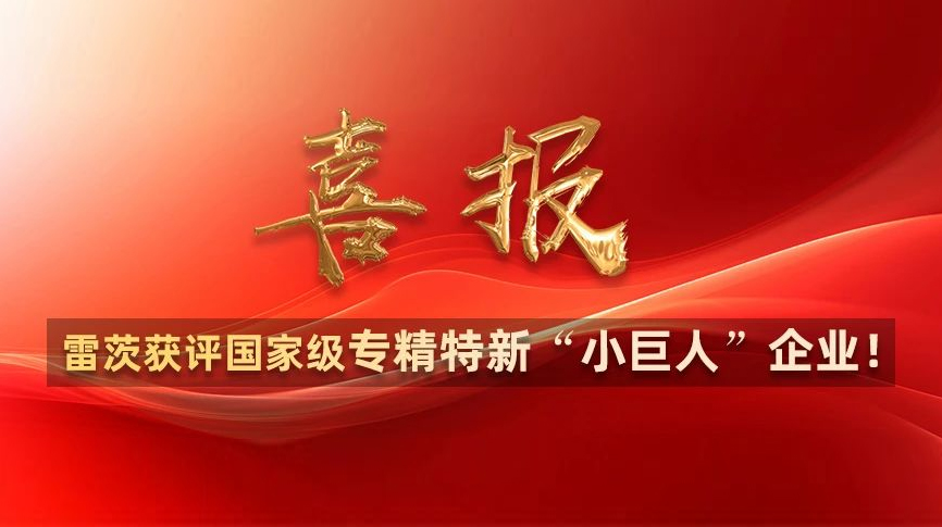 喜報(bào)：雷茨獲評國家級專精特新“小巨人”企業(yè)！